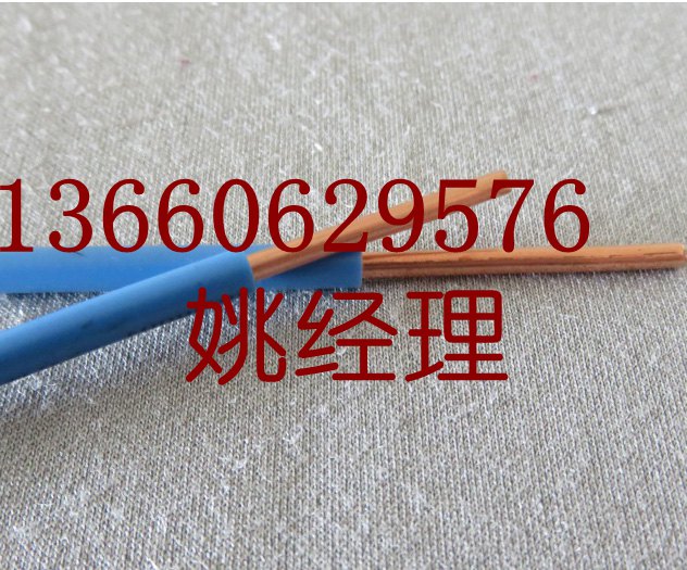 珠江花環(huán)電線電纜